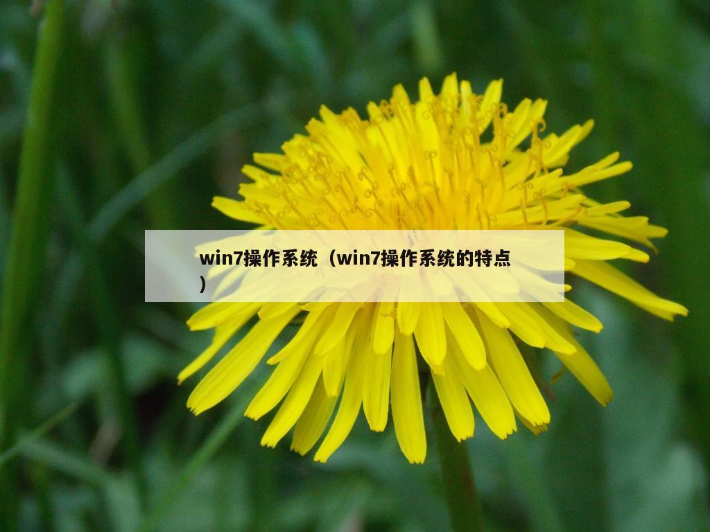 win7操作系统（win7操作系统的特点）