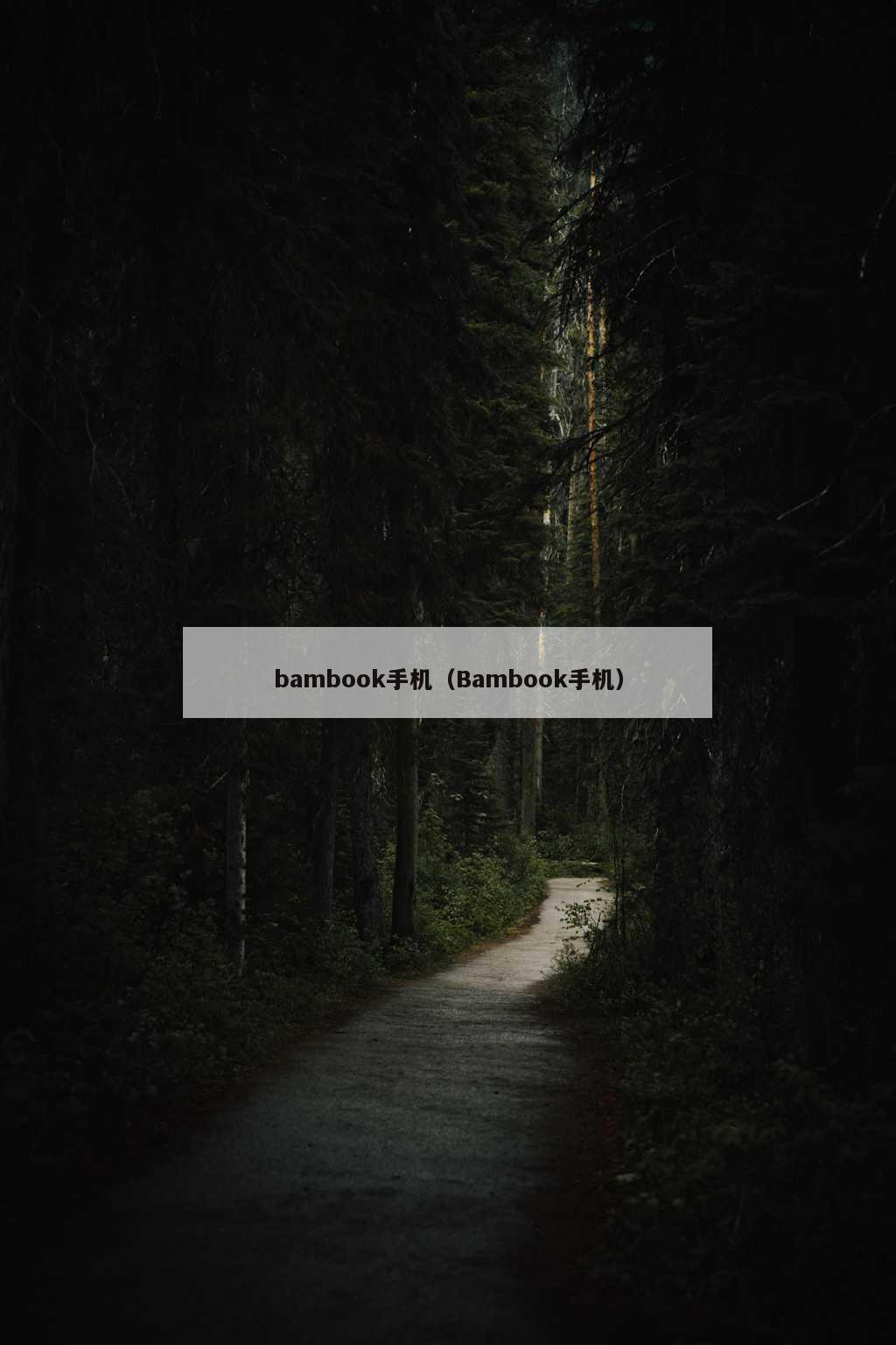 bambook手机（Bambook手机）