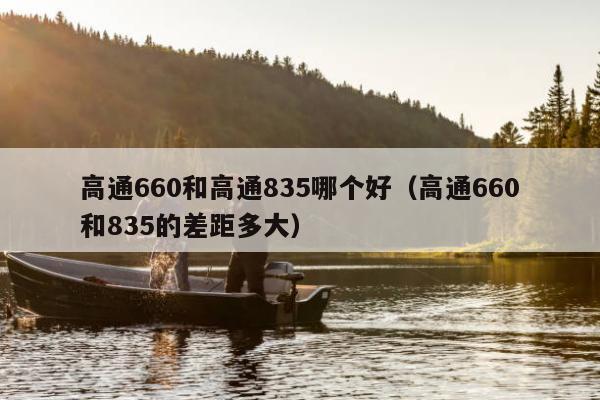 高通660和高通835哪个好（高通660和835的差距多大）