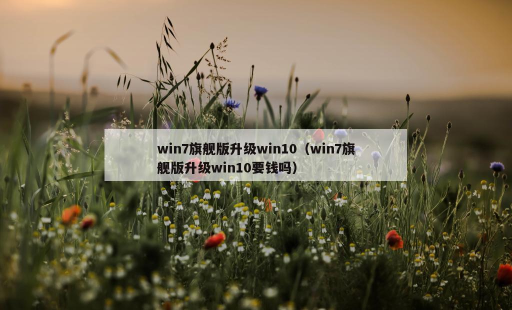 win7旗舰版升级win10（win7旗舰版升级win10要钱吗）