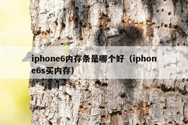 iphone6内存条是哪个好（iphone6s买内存）