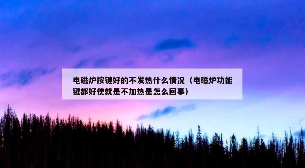 电磁炉按键好的不发热什么情况（电磁炉功能键都好使就是不加热是怎么回事）