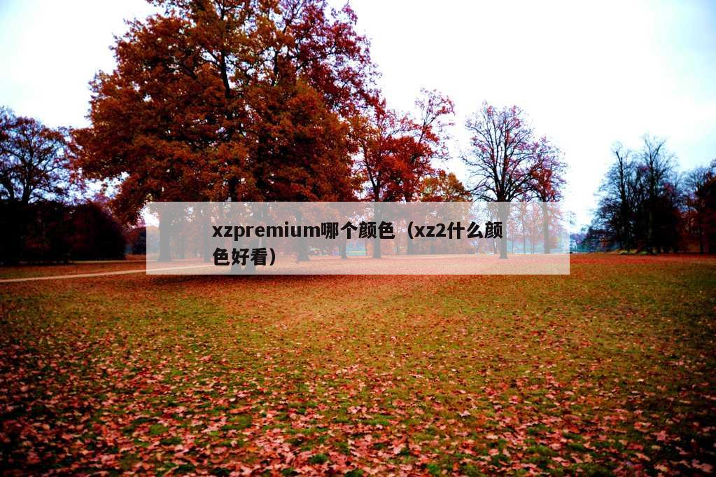 xzpremium哪个颜色（xz2什么颜色好看）