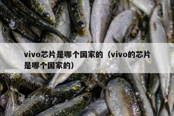 vivo芯片是哪个国家的（vivo的芯片是哪个国家的）