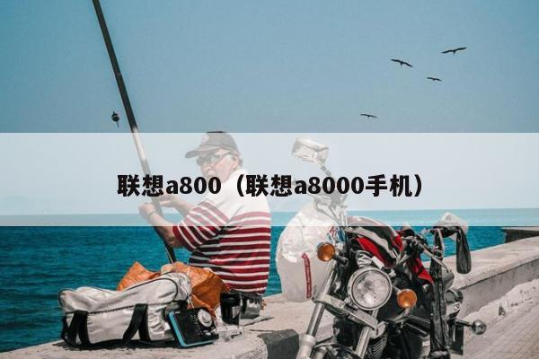 联想a800（联想a8000手机）