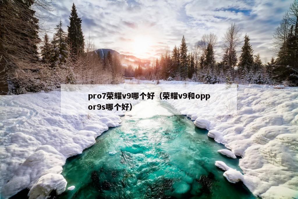 pro7荣耀v9哪个好（荣耀v9和oppor9s哪个好）