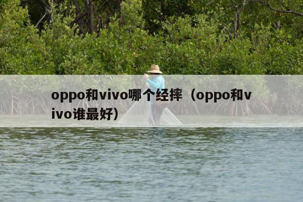 oppo和vivo哪个经摔（oppo和vivo谁最好）