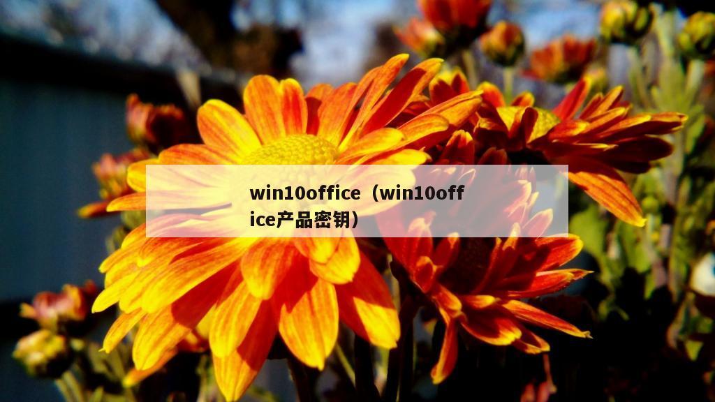 win10office（win10office产品密钥）