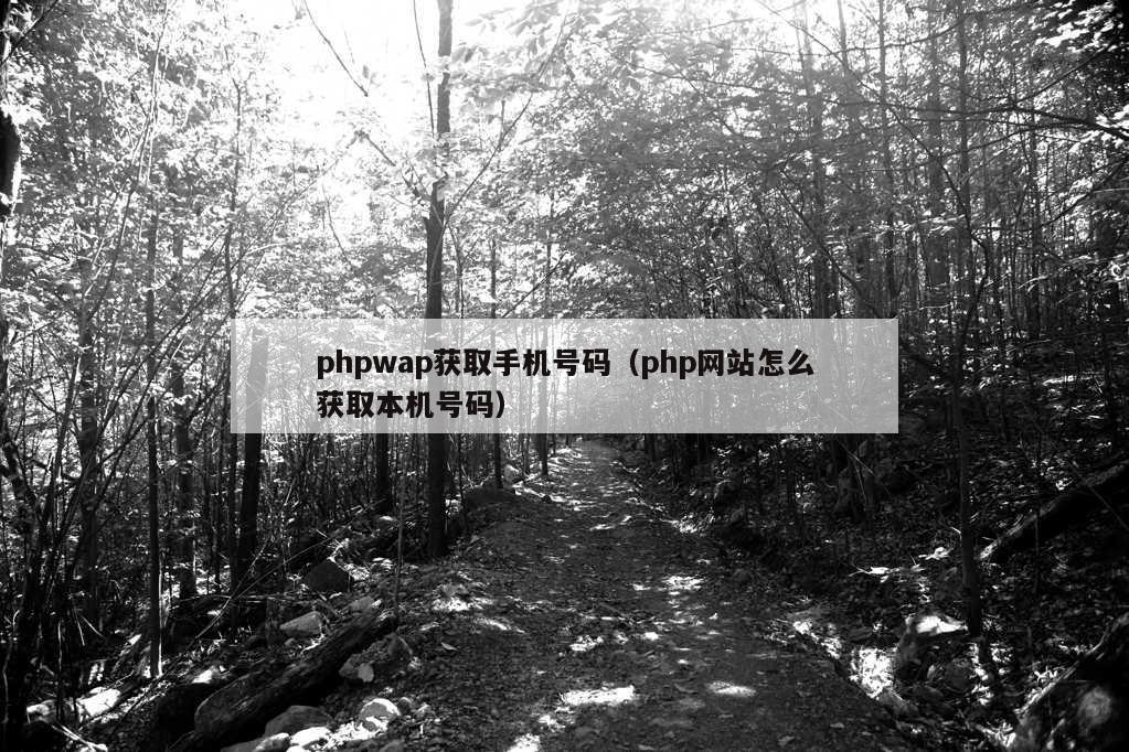 phpwap获取手机号码（php网站怎么获取本机号码）