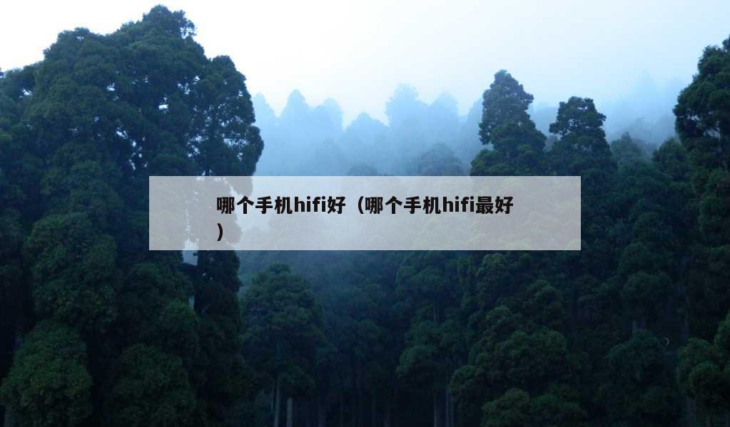 哪个手机hifi好（哪个手机hifi最好）