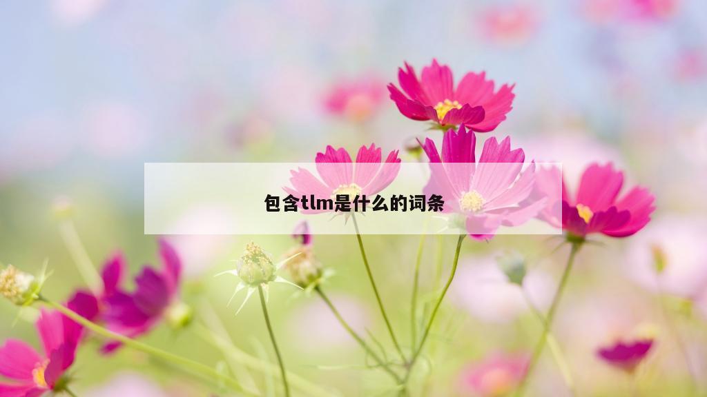 包含tlm是什么的词条