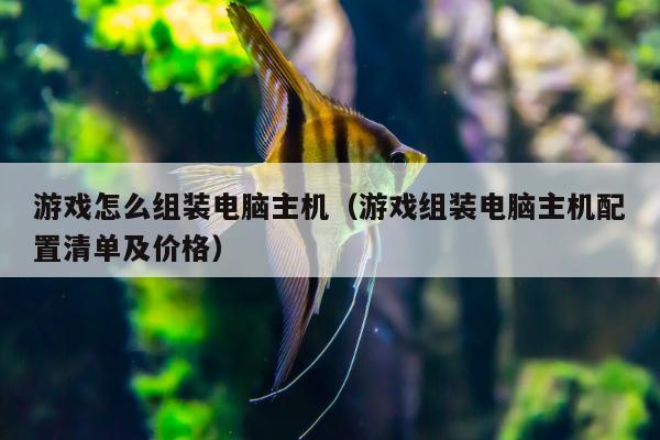 游戏怎么组装电脑主机（游戏组装电脑主机配置清单及价格）