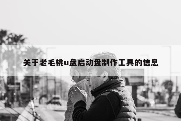 关于老毛桃u盘启动盘制作工具的信息