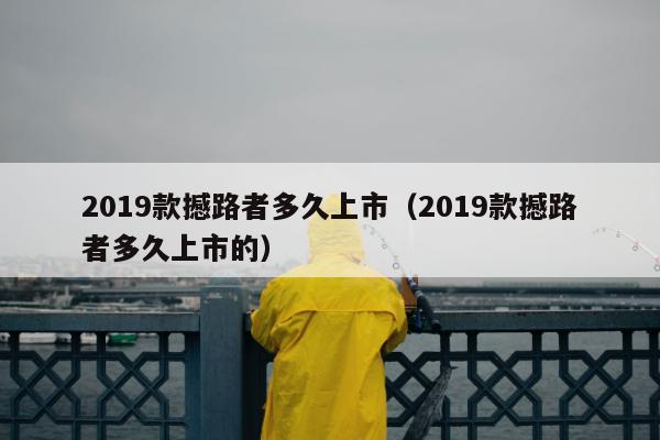 2019款撼路者多久上市（2019款撼路者多久上市的）