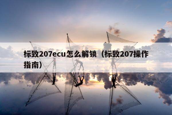 标致207ecu怎么解锁（标致207操作指南）