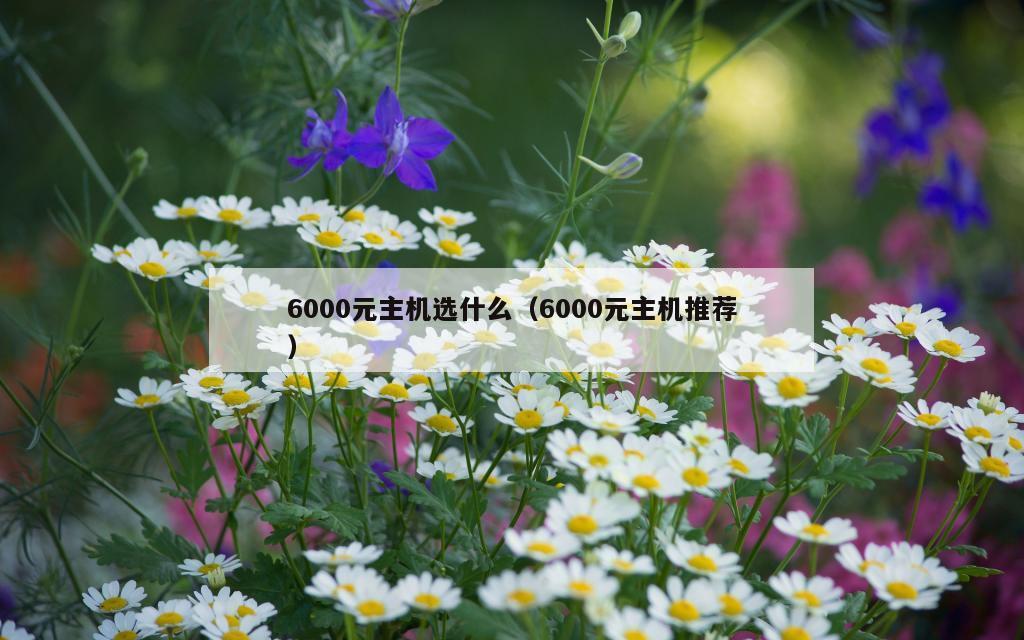 6000元主机选什么（6000元主机推荐）