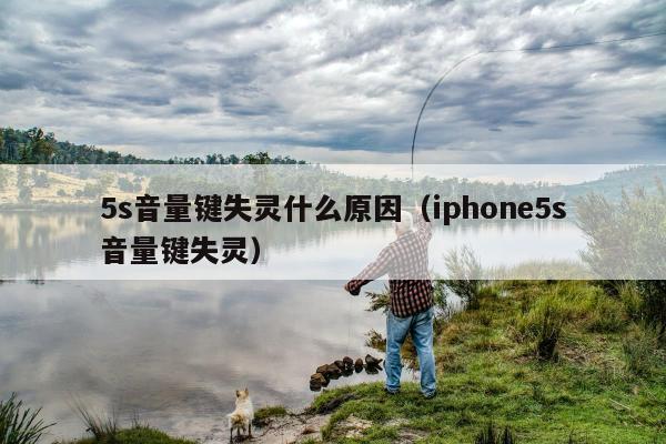 5s音量键失灵什么原因（iphone5s音量键失灵）