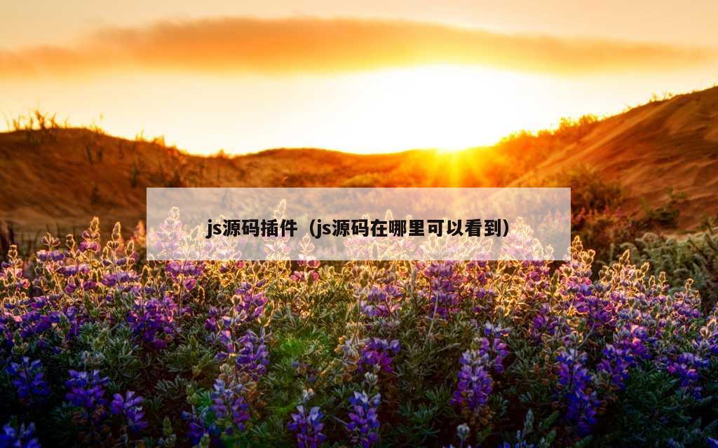 js源码插件（js源码在哪里可以看到）