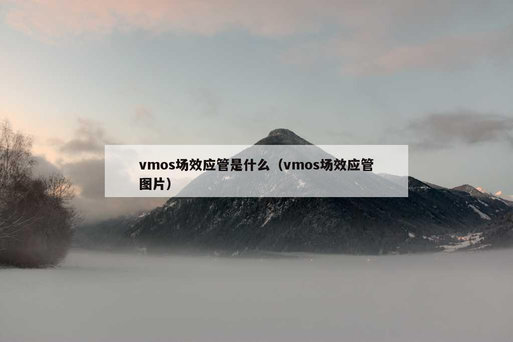 vmos场效应管是什么（vmos场效应管图片）