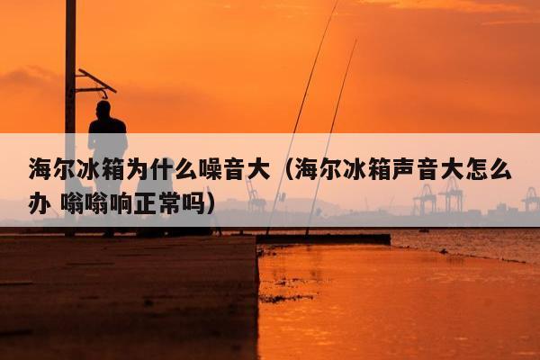 海尔冰箱为什么噪音大（海尔冰箱声音大怎么办 嗡嗡响正常吗）