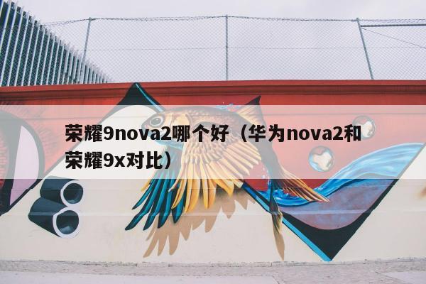 荣耀9nova2哪个好（华为nova2和荣耀9x对比）