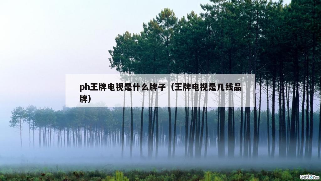 ph王牌电视是什么牌子（王牌电视是几线品牌）