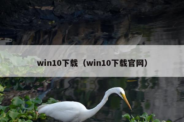 win10下载（win10下载官网）