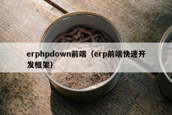 erphpdown前端（erp前端快速开发框架）