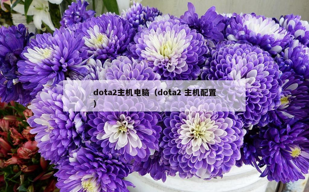 dota2主机电脑（dota2 主机配置）