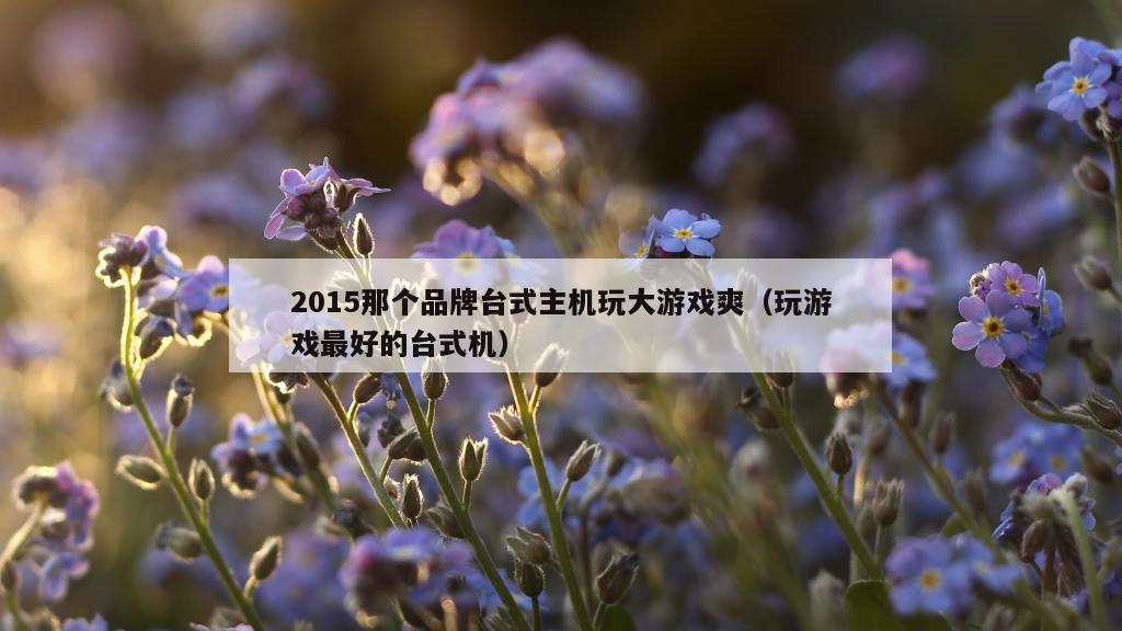 2015那个品牌台式主机玩大游戏爽（玩游戏最好的台式机）