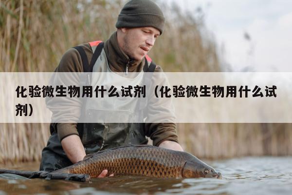 化验微生物用什么试剂（化验微生物用什么试剂）