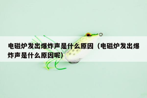 电磁炉发出爆炸声是什么原因（电磁炉发出爆炸声是什么原因呢）