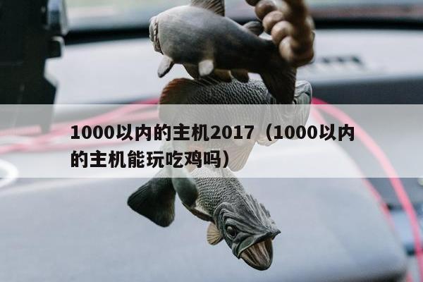 1000以内的主机2017（1000以内的主机能玩吃鸡吗）