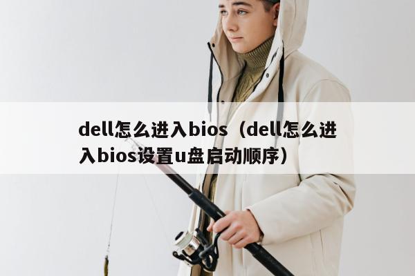 dell怎么进入bios（dell怎么进入bios设置u盘启动顺序）