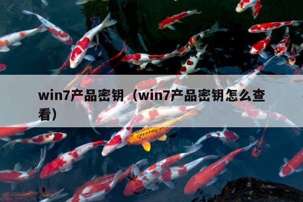 win7产品密钥（win7产品密钥怎么查看）