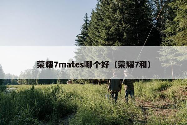 荣耀7mates哪个好（荣耀7和）