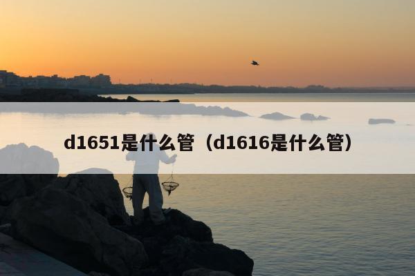 d1651是什么管（d1616是什么管）