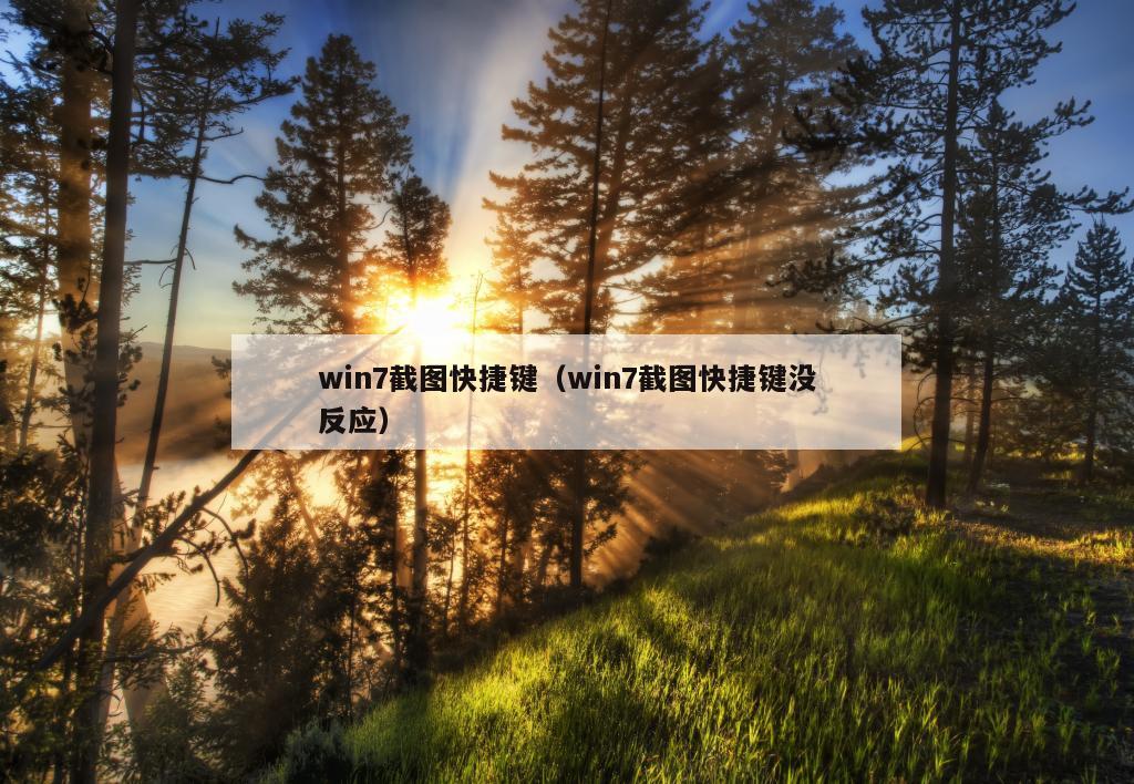 win7截图快捷键（win7截图快捷键没反应）