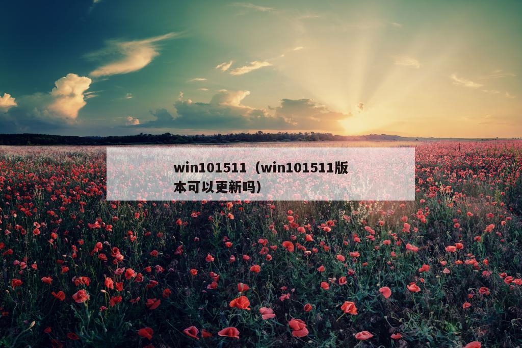 win101511（win101511版本可以更新吗）