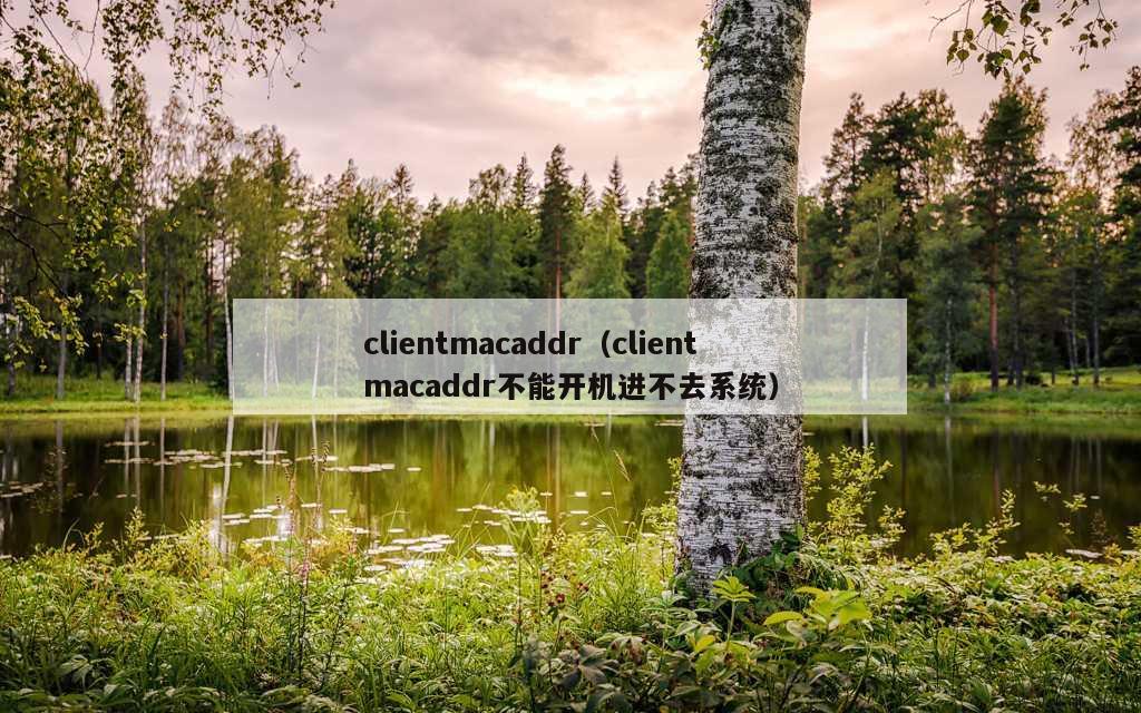 clientmacaddr（clientmacaddr不能开机进不去系统）