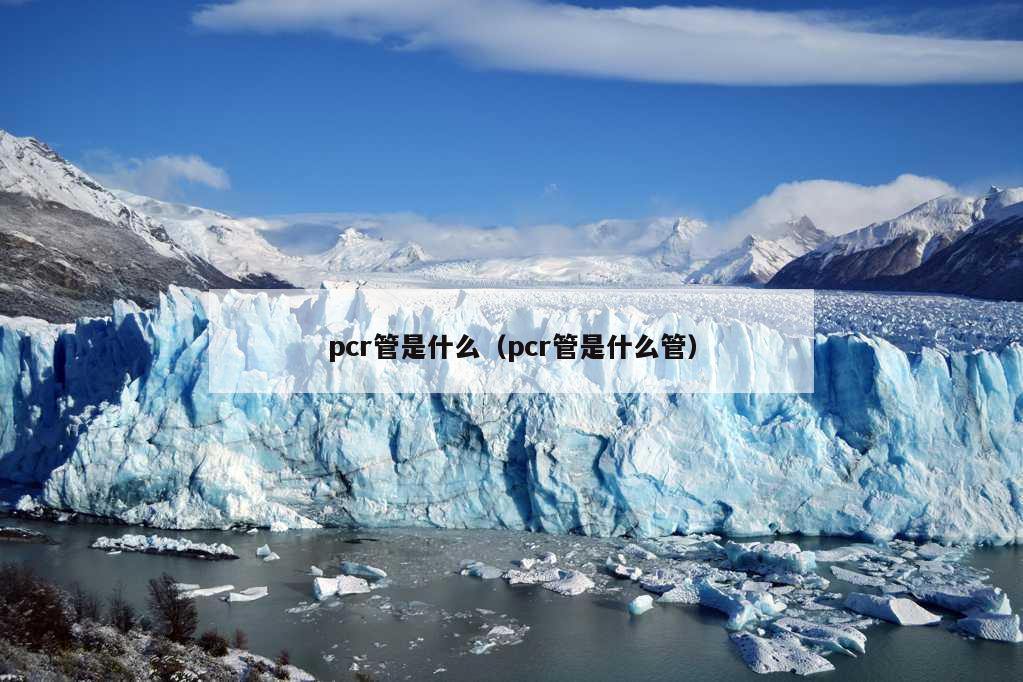 pcr管是什么（pcr管是什么管）