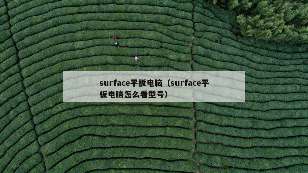 surface平板电脑（surface平板电脑怎么看型号）