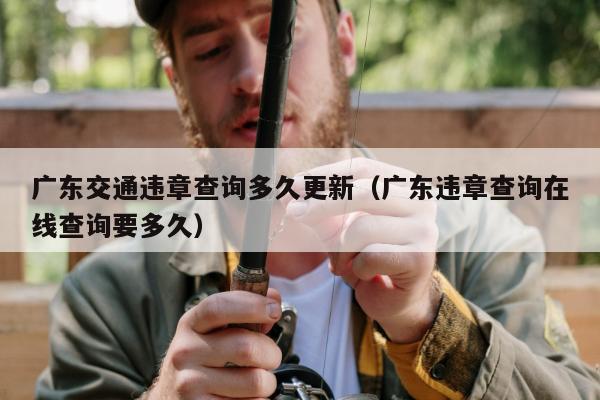 广东交通违章查询多久更新（广东违章查询在线查询要多久）