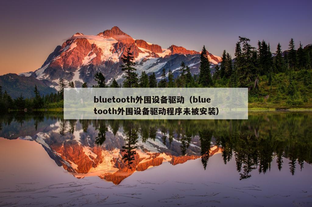 bluetooth外围设备驱动（bluetooth外围设备驱动程序未被安装）