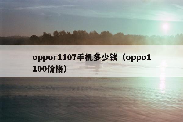 oppor1107手机多少钱（oppo1100价格）