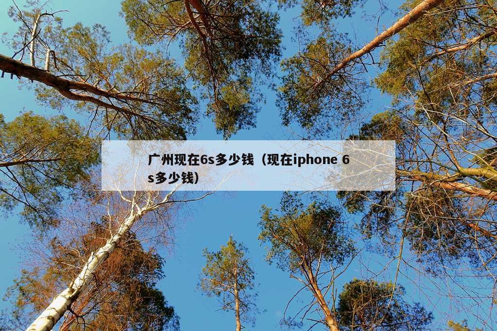 广州现在6s多少钱（现在iphone 6s多少钱）