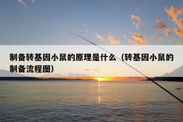 制备转基因小鼠的原理是什么（转基因小鼠的制备流程图）