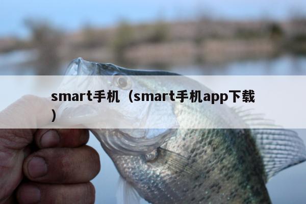 smart手机（smart手机app下载）