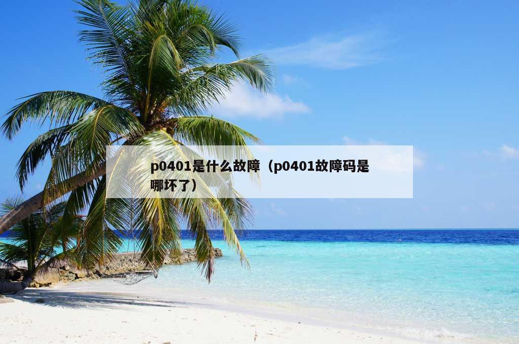 p0401是什么故障（p0401故障码是哪坏了）