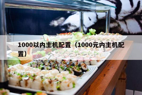 1000以内主机配置（1000元内主机配置）